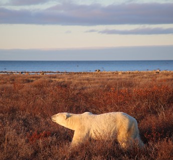 Manitoba